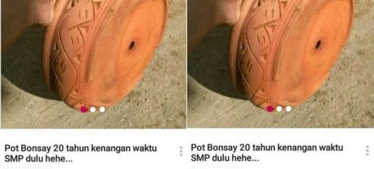 Ngakak so hard Jual pot bonsai dengan harga selangit seller olshop ini beri alasan konyol 2