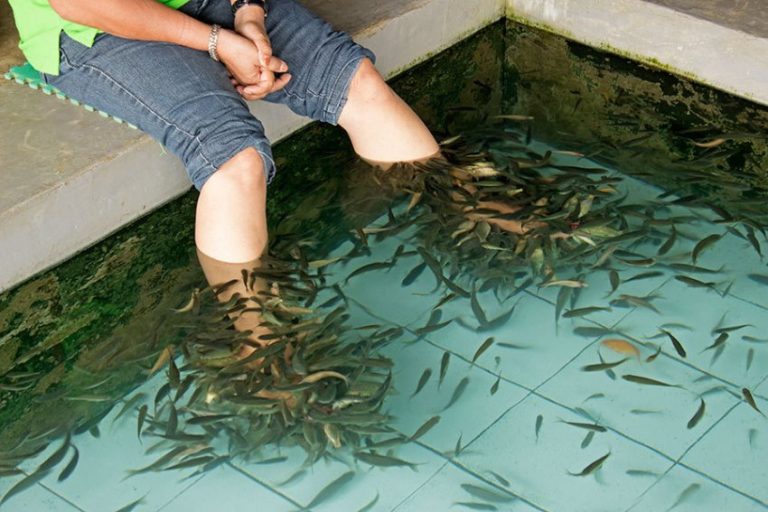 Gara gara kaki yang sangat bau pria ini tak sengaja bunuh ikan ikan di tempat spa