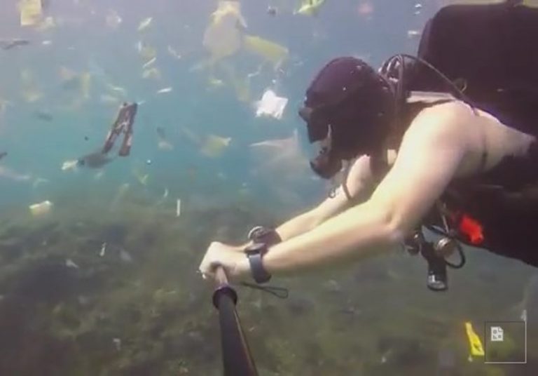 Rekam keadaan bawah laut di Bali hasil video penyelam Inggris ini bikin miris sampah plastik dimana mana
