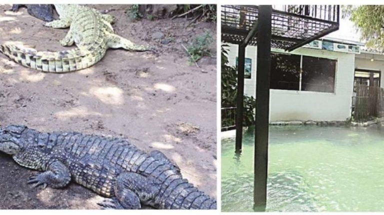 Datang ke acara nikahan dalam keadaan mabuk cowok ini nyemplung ke kolam buaya